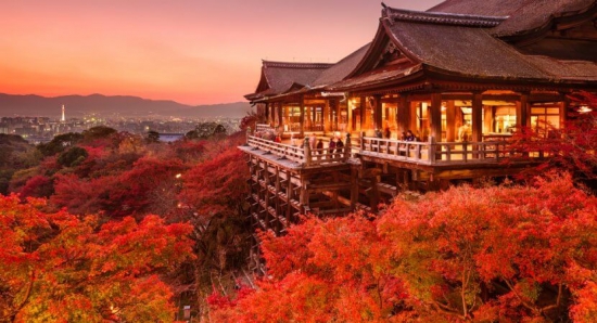 TRƯỜNG ĐẠI HỌC CHOSUN GWANGJU